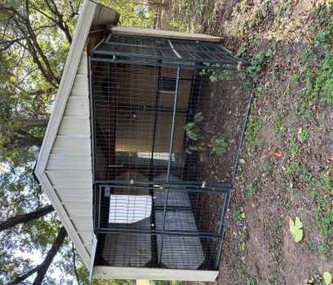 Kennel with Roof